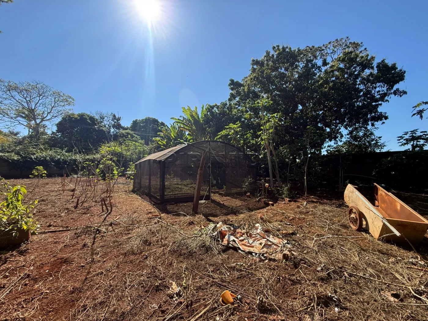 Alugar Rural / Ch&aacute;cara em Jardin&oacute;polis R$ 4.500,00 - Foto 15