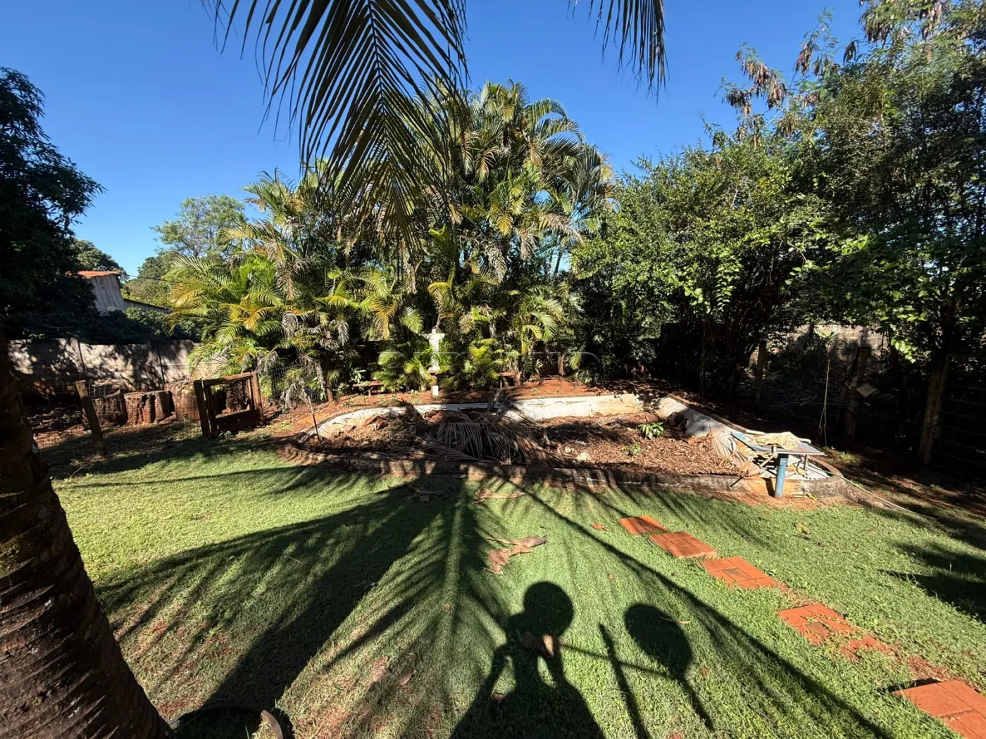 Alugar Rural / Ch&aacute;cara em Jardin&oacute;polis R$ 4.500,00 - Foto 37