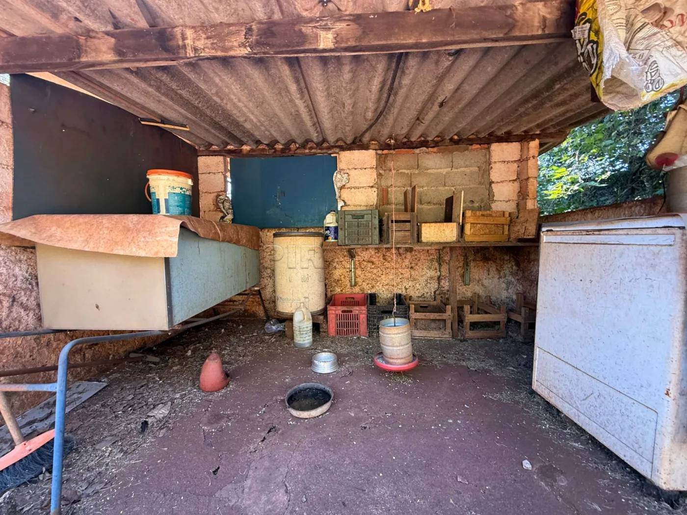 Alugar Rural / Ch&aacute;cara em Jardin&oacute;polis R$ 4.500,00 - Foto 39