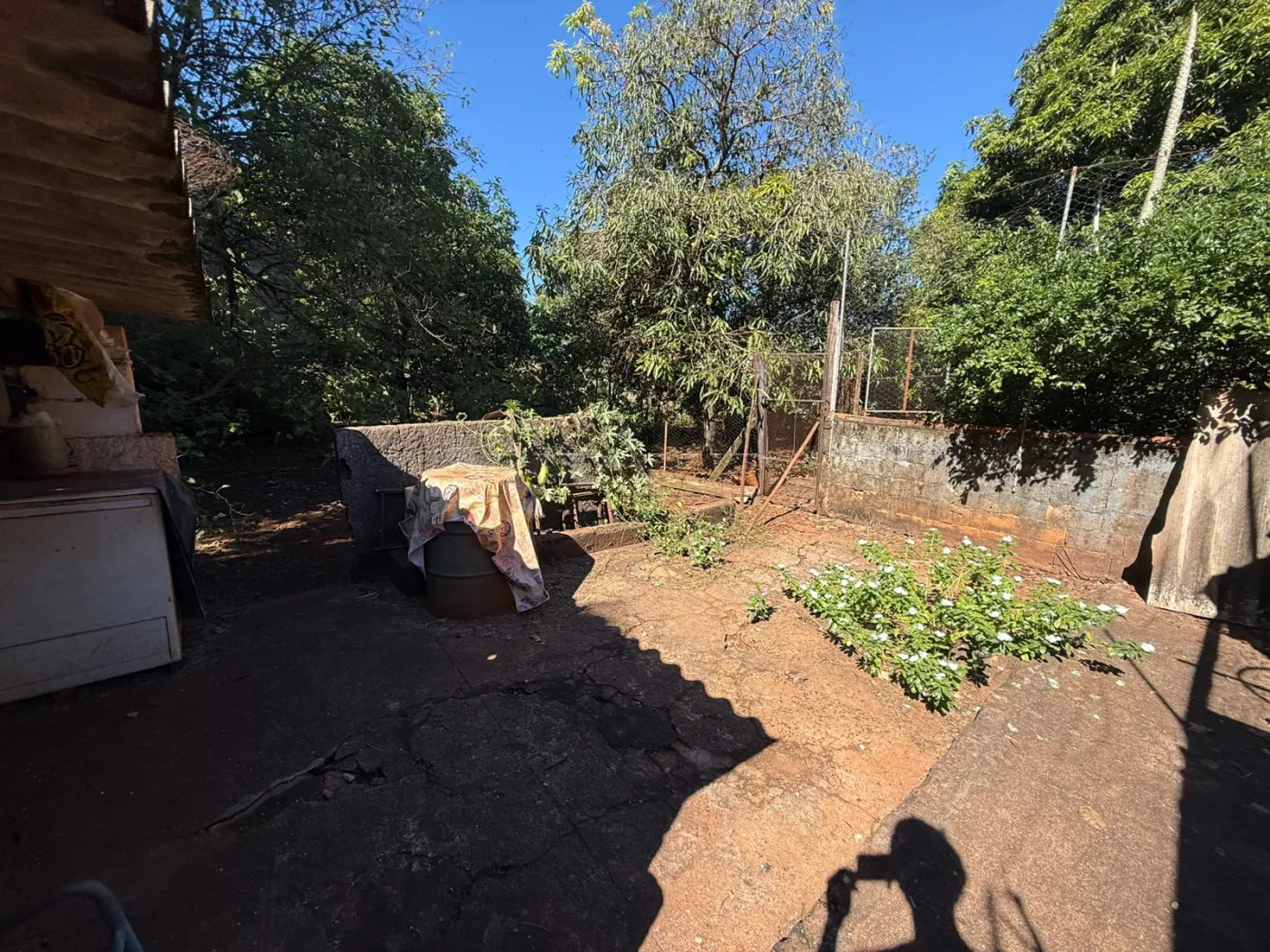 Alugar Rural / Ch&aacute;cara em Jardin&oacute;polis R$ 4.500,00 - Foto 40