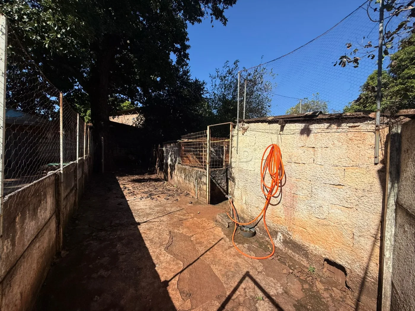 Alugar Rural / Ch&aacute;cara em Jardin&oacute;polis R$ 4.500,00 - Foto 41