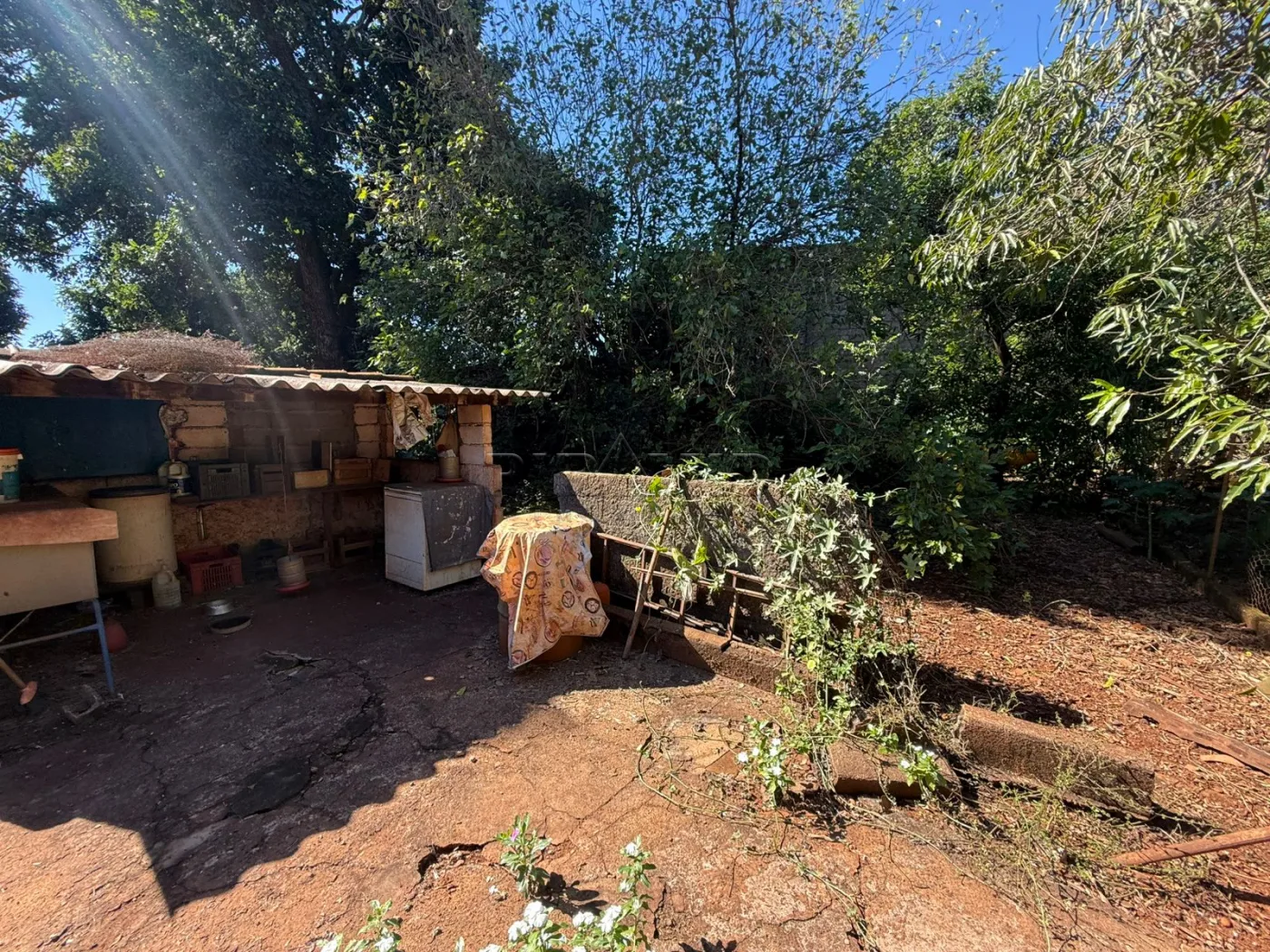 Alugar Rural / Ch&aacute;cara em Jardin&oacute;polis R$ 4.500,00 - Foto 42