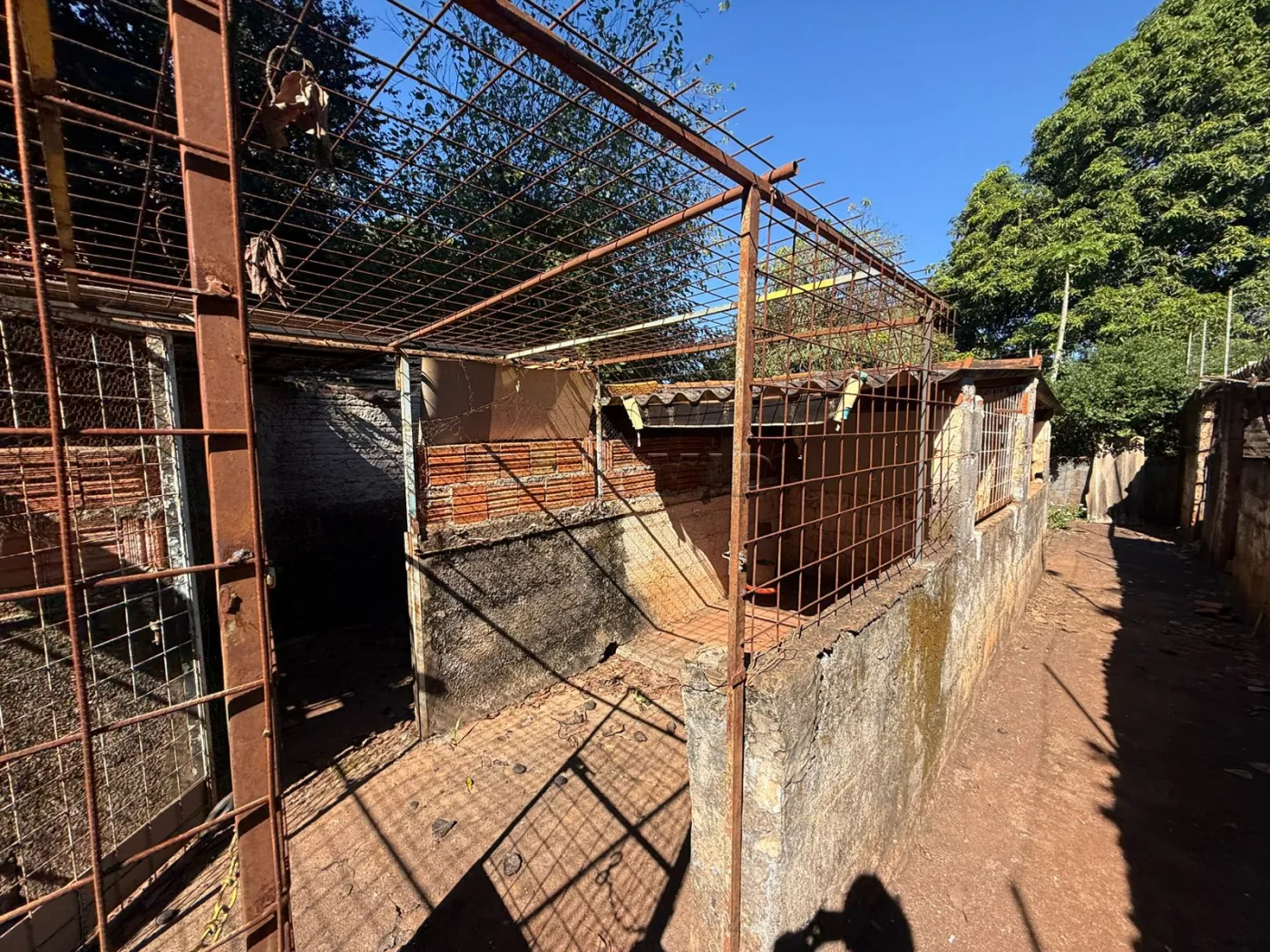 Alugar Rural / Ch&aacute;cara em Jardin&oacute;polis R$ 4.500,00 - Foto 46