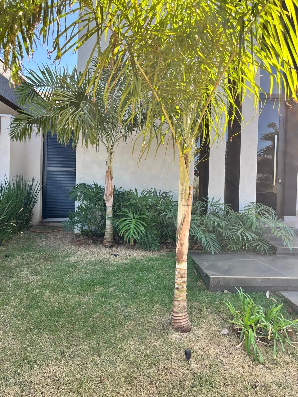 Comprar Casa / Condom&iacute;nio em Ribeir&atilde;o Preto R$ 1.790.000,00 - Foto 13