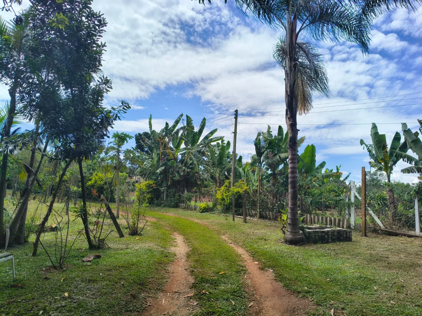 Comprar Rural / S&iacute;tio em C&aacute;ssia dos Coqueiros R$ 750.000,00 - Foto 18