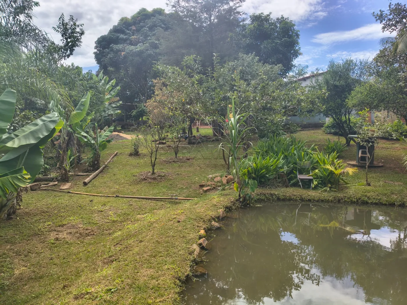 Comprar Rural / S&iacute;tio em C&aacute;ssia dos Coqueiros R$ 750.000,00 - Foto 19