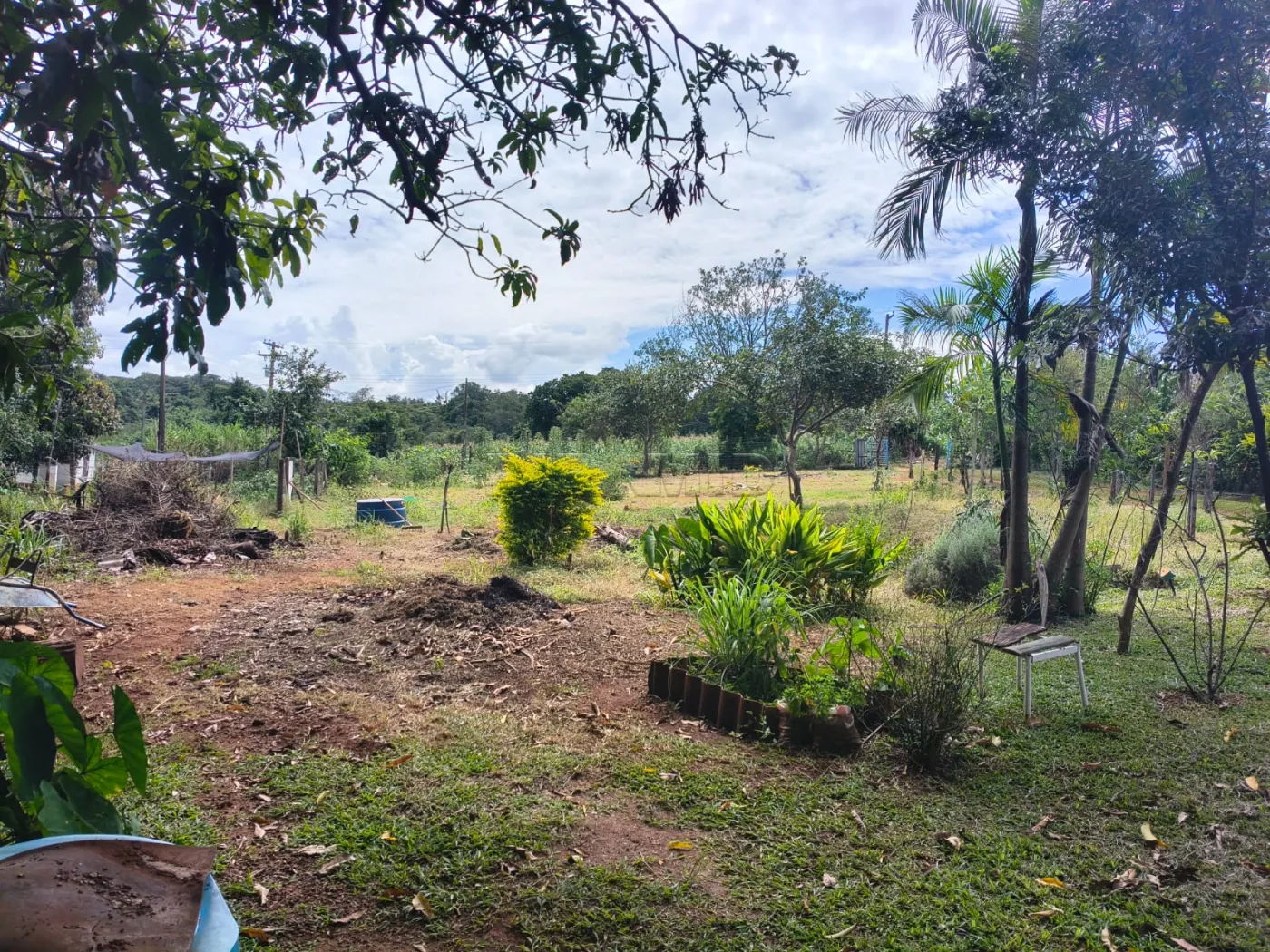 Comprar Rural / S&iacute;tio em C&aacute;ssia dos Coqueiros R$ 750.000,00 - Foto 23