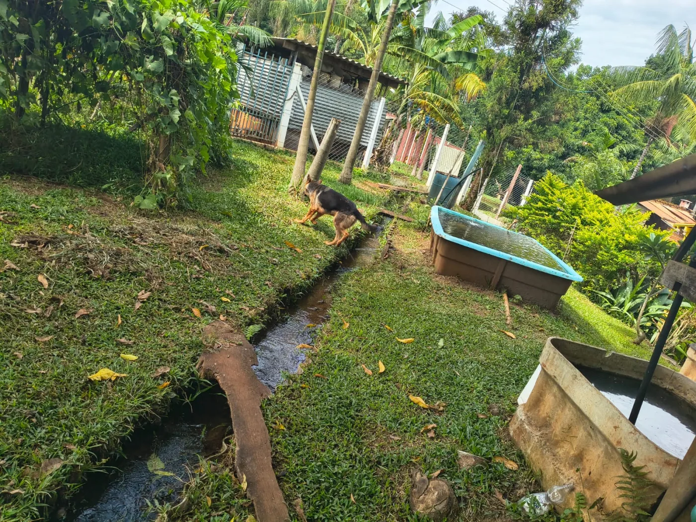 Comprar Rural / S&iacute;tio em C&aacute;ssia dos Coqueiros R$ 750.000,00 - Foto 24