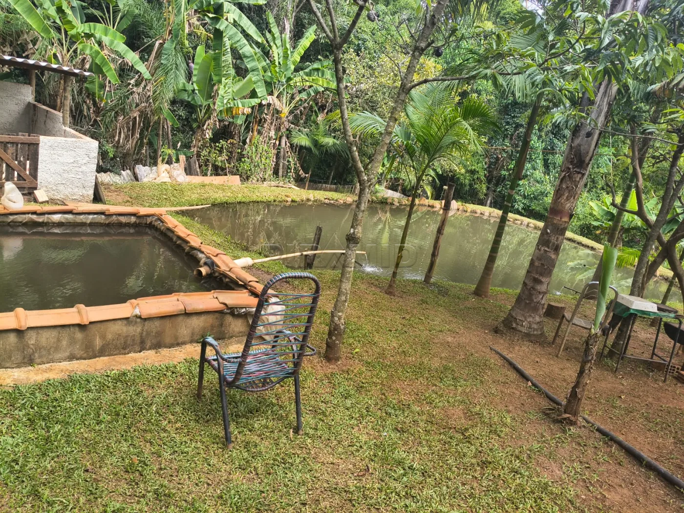 Comprar Rural / S&iacute;tio em C&aacute;ssia dos Coqueiros R$ 750.000,00 - Foto 25