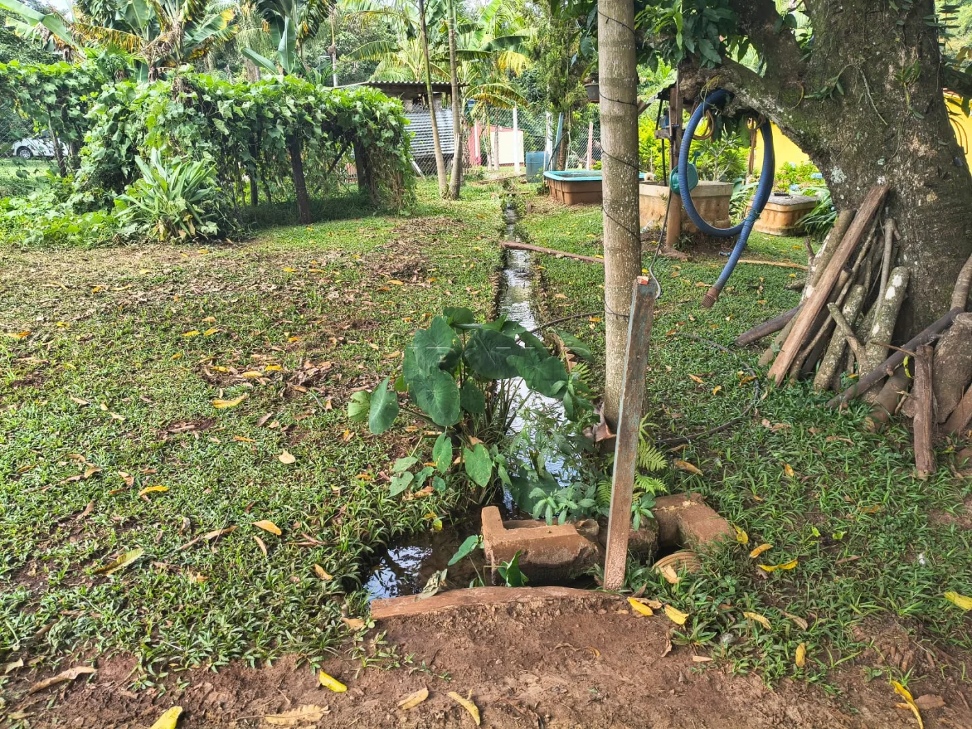 Comprar Rural / S&iacute;tio em C&aacute;ssia dos Coqueiros R$ 750.000,00 - Foto 27