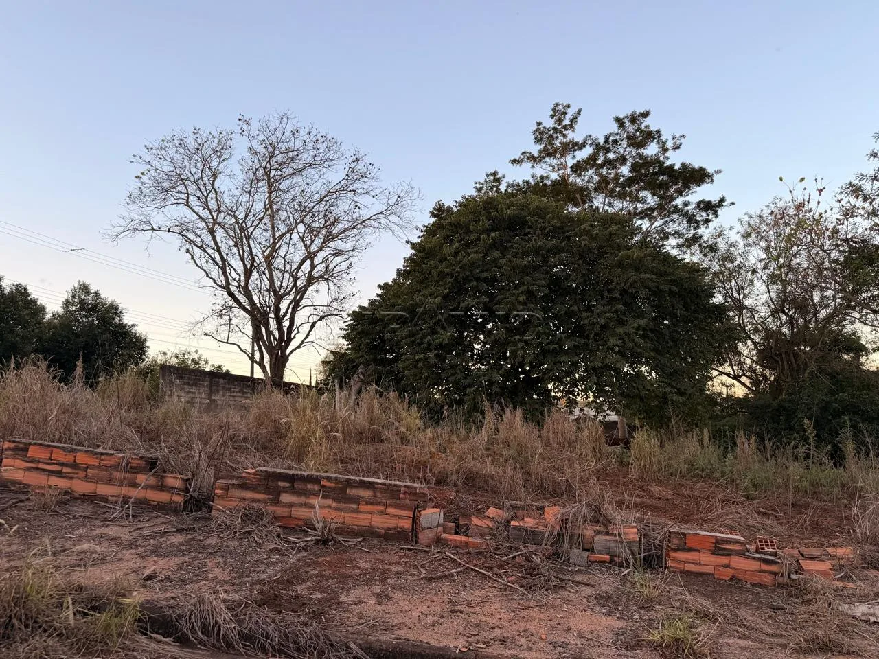 Comprar Terreno / Terreno em Ribeir&atilde;o Preto R$ 250.000,00 - Foto 1
