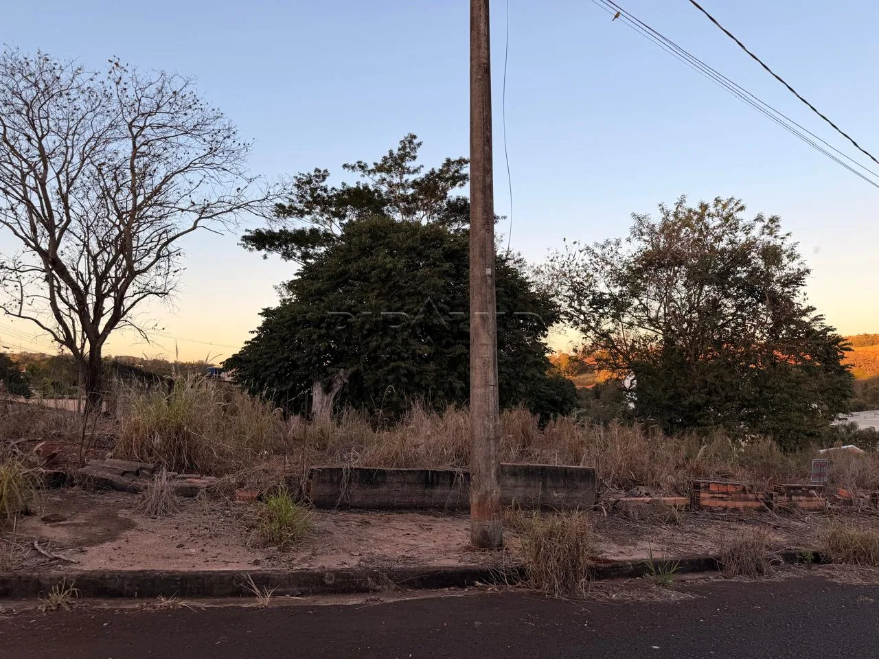 Comprar Terreno / Terreno em Ribeir&atilde;o Preto R$ 250.000,00 - Foto 2