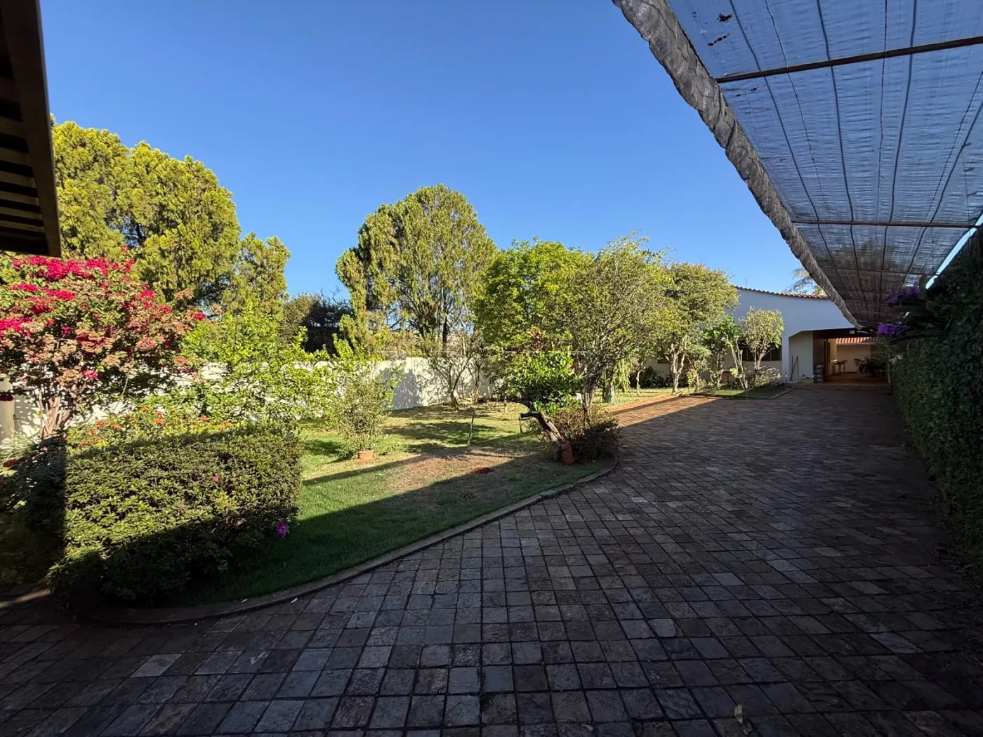 Alugar Casa / Padr&atilde;o em Ribeir&atilde;o Preto R$ 3.800,00 - Foto 3