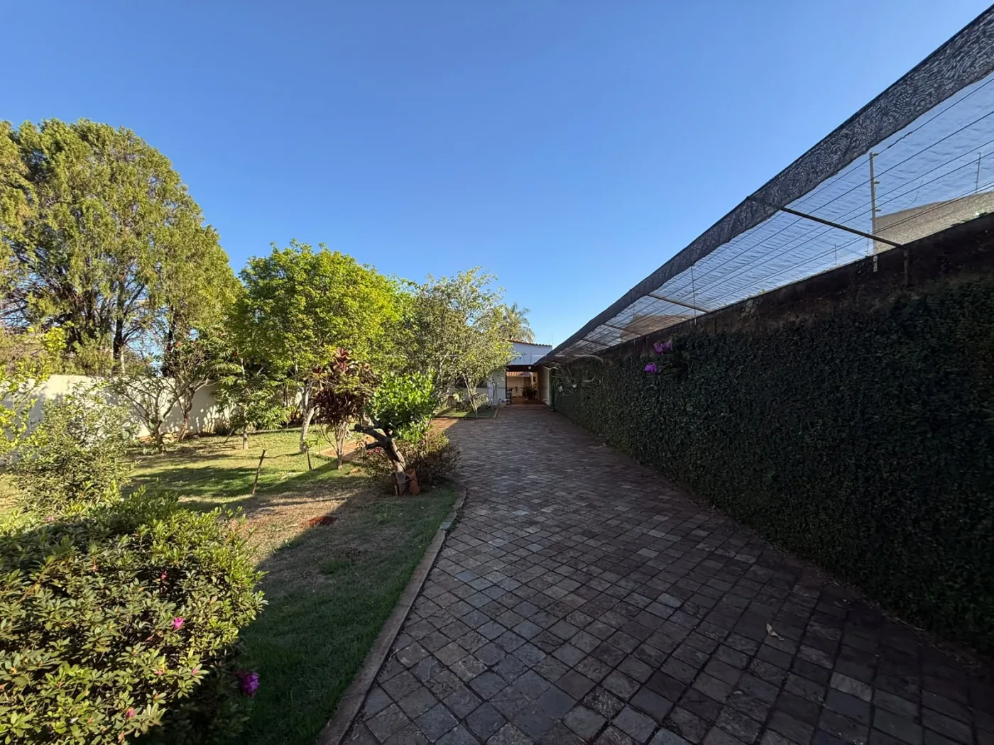 Alugar Casa / Padr&atilde;o em Ribeir&atilde;o Preto R$ 3.800,00 - Foto 4