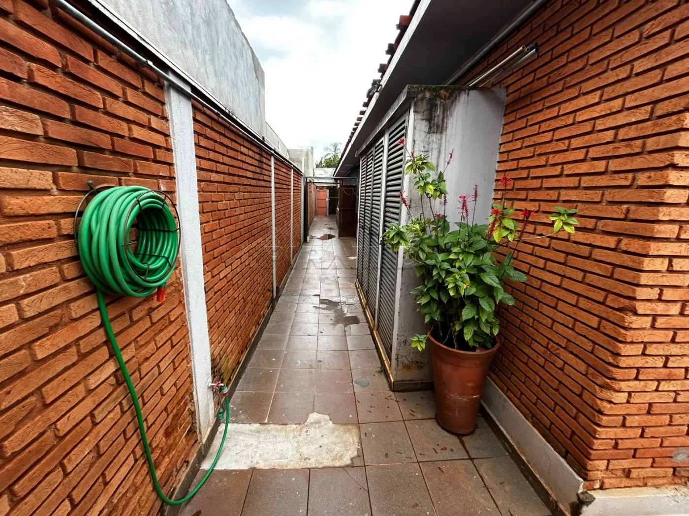 Alugar Comercial / Casa em Ribeir&atilde;o Preto R$ 8.000,00 - Foto 12