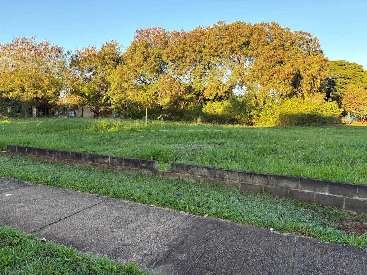 Comprar Terreno / Terreno em Ribeir&atilde;o Preto R$ 780.000,00 - Foto 1