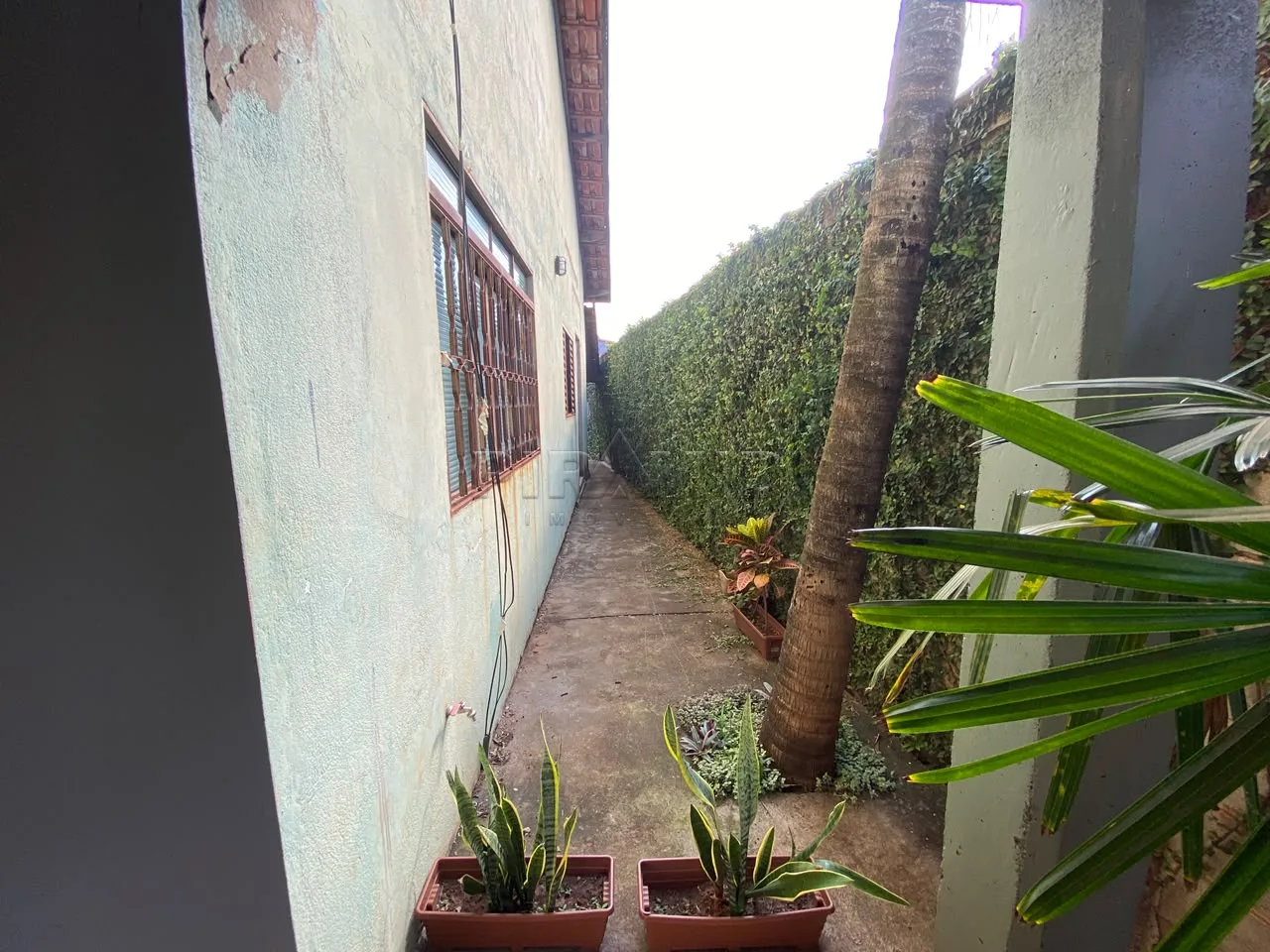 Comprar Rural / Ch&aacute;cara em Ribeir&atilde;o Preto R$ 950.000,00 - Foto 33