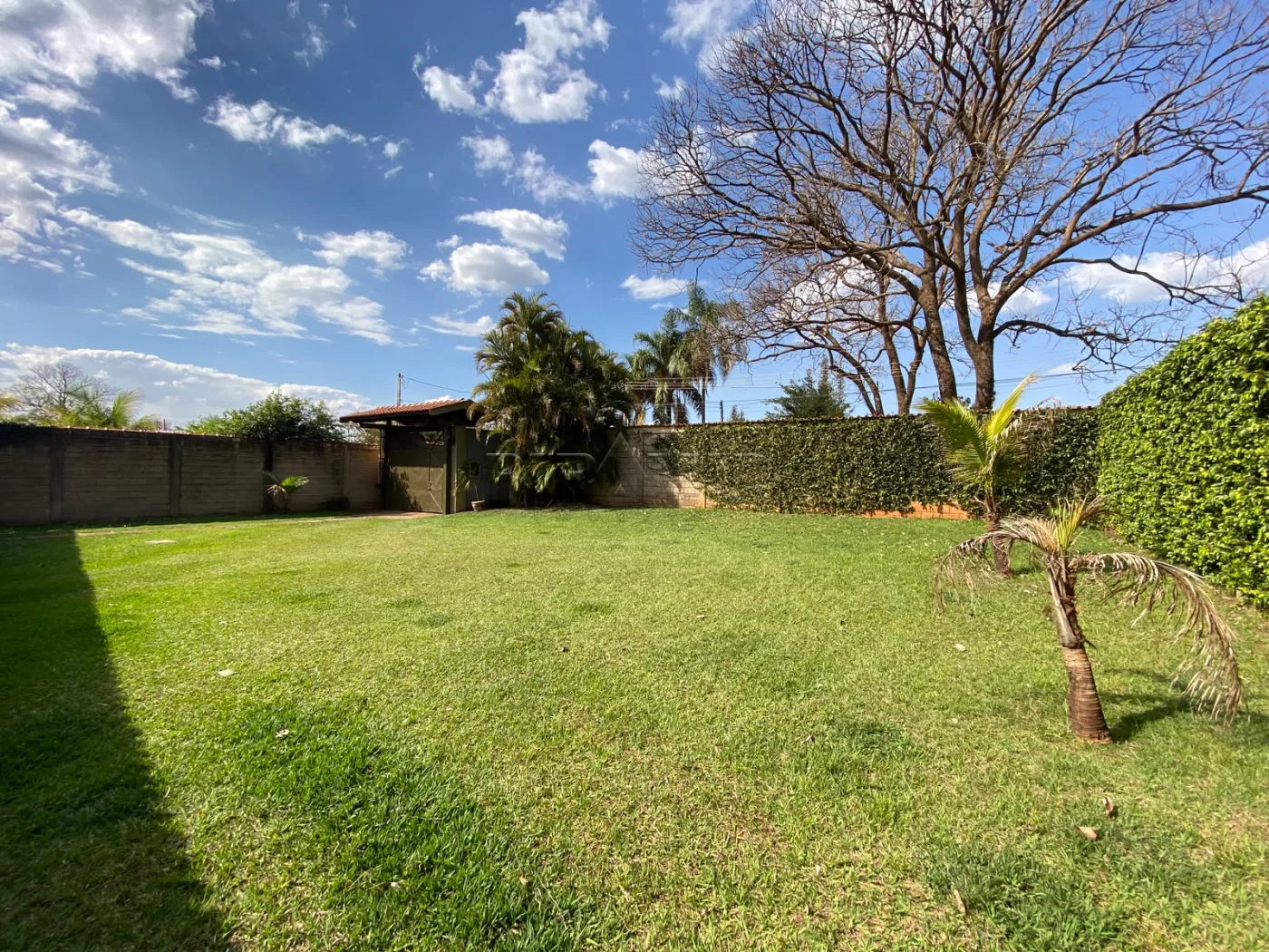 Comprar Rural / Ch&aacute;cara em Ribeir&atilde;o Preto R$ 950.000,00 - Foto 5