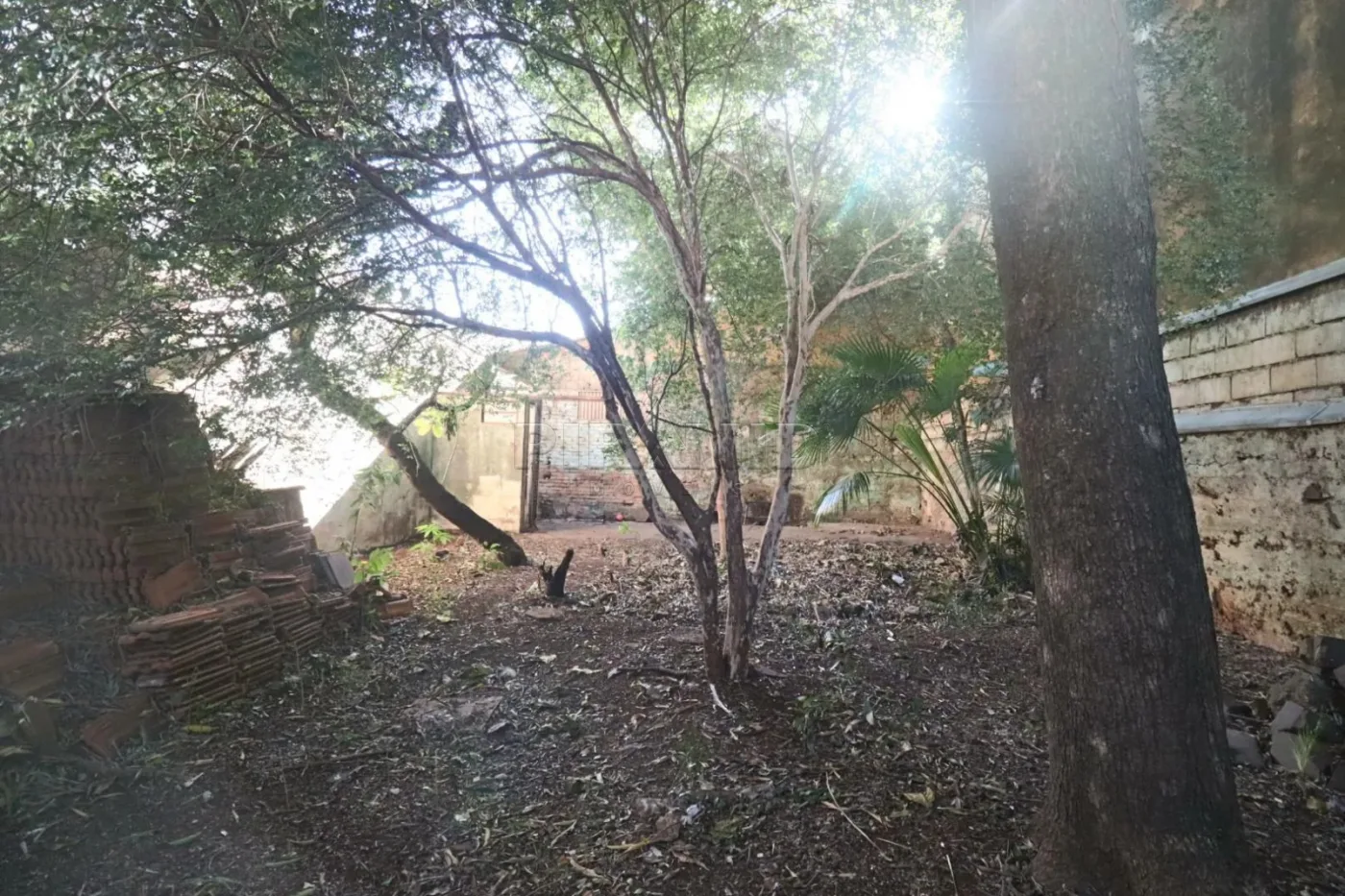 Alugar Casa / Padr&atilde;o em Ribeir&atilde;o Preto R$ 5.500,00 - Foto 39