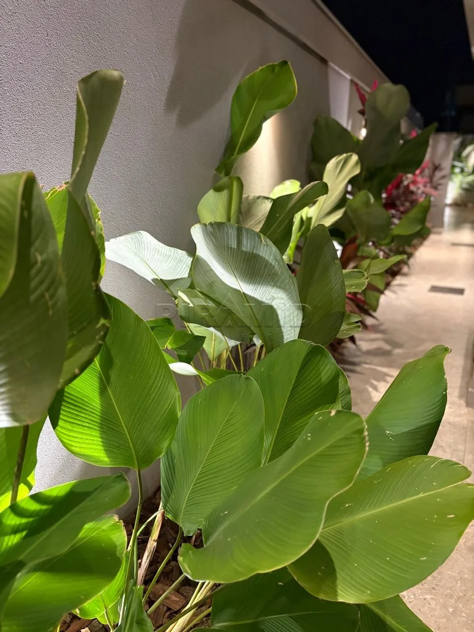 Comprar Casa / Condom&iacute;nio em Ribeir&atilde;o Preto R$ 1.800.000,00 - Foto 23
