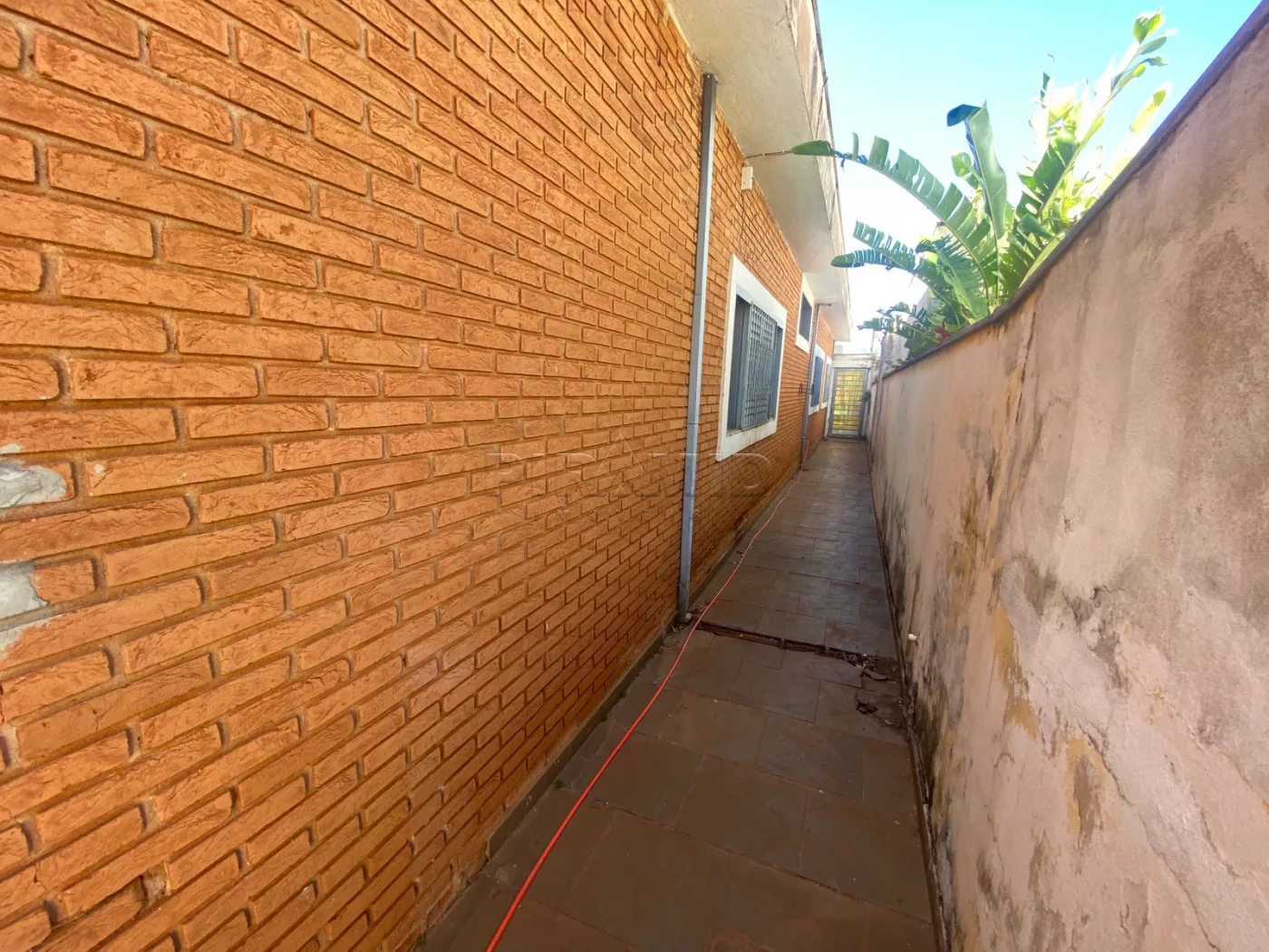 Comprar Casa / Padr&atilde;o em Ribeir&atilde;o Preto R$ 900.000,00 - Foto 37