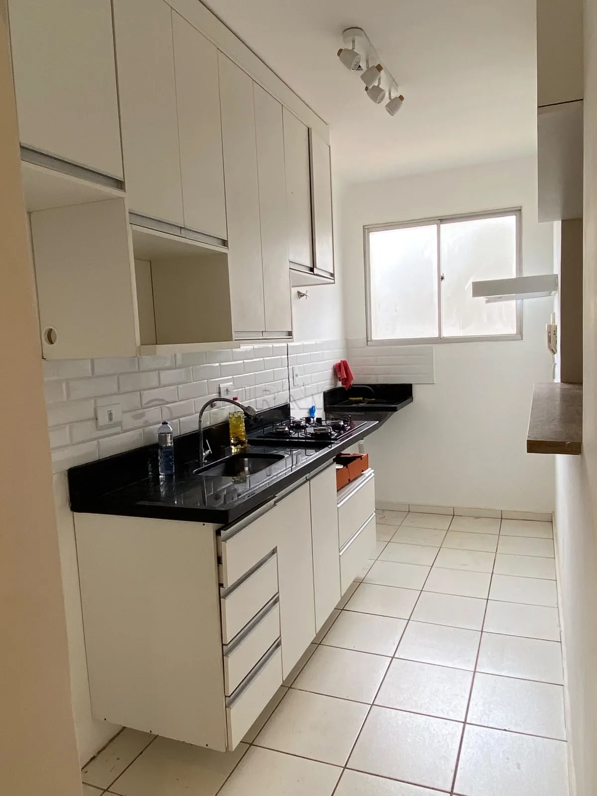 Alugar Apartamento / Padr&atilde;o em Ribeir&atilde;o Preto R$ 1.600,00 - Foto 10