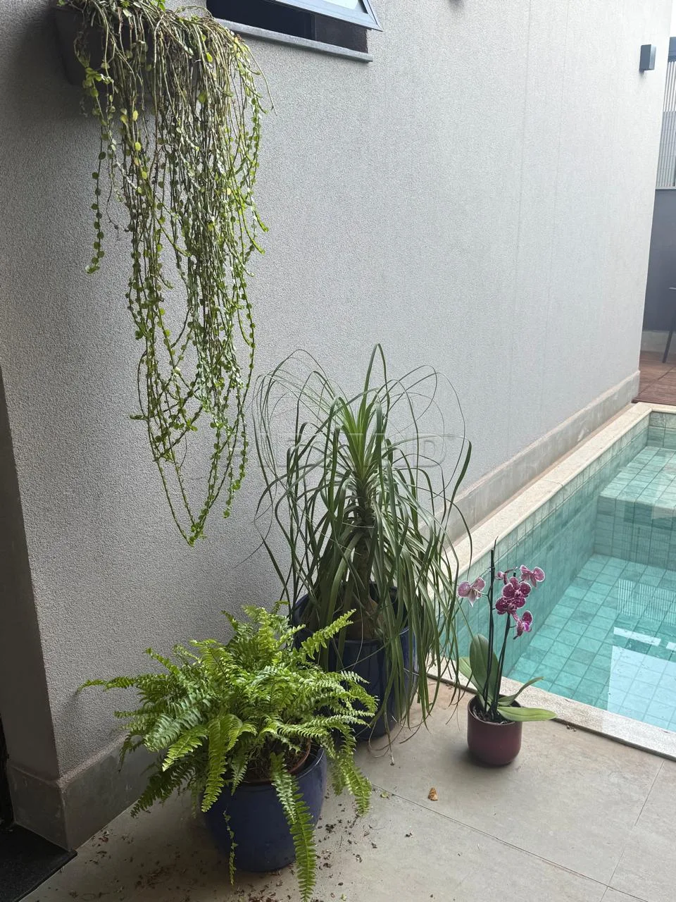 Alugar Casa / Condom&iacute;nio em Ribeir&atilde;o Preto R$ 7.600,00 - Foto 4