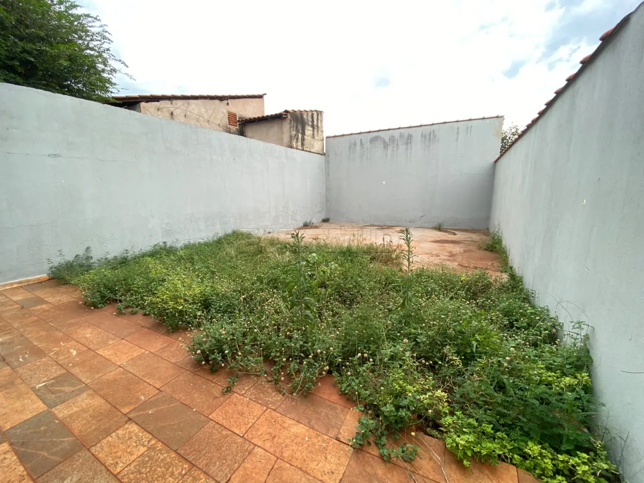 Alugar Casa / Padr&atilde;o em Ribeir&atilde;o Preto R$ 2.650,00 - Foto 8