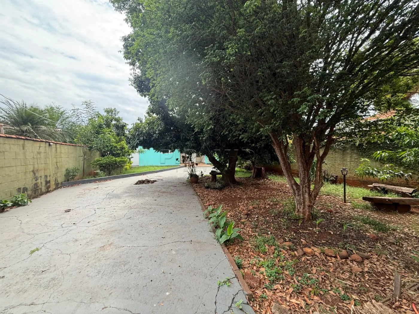 Comprar Casa / Padr&atilde;o em Ribeir&atilde;o Preto R$ 480.000,00 - Foto 3