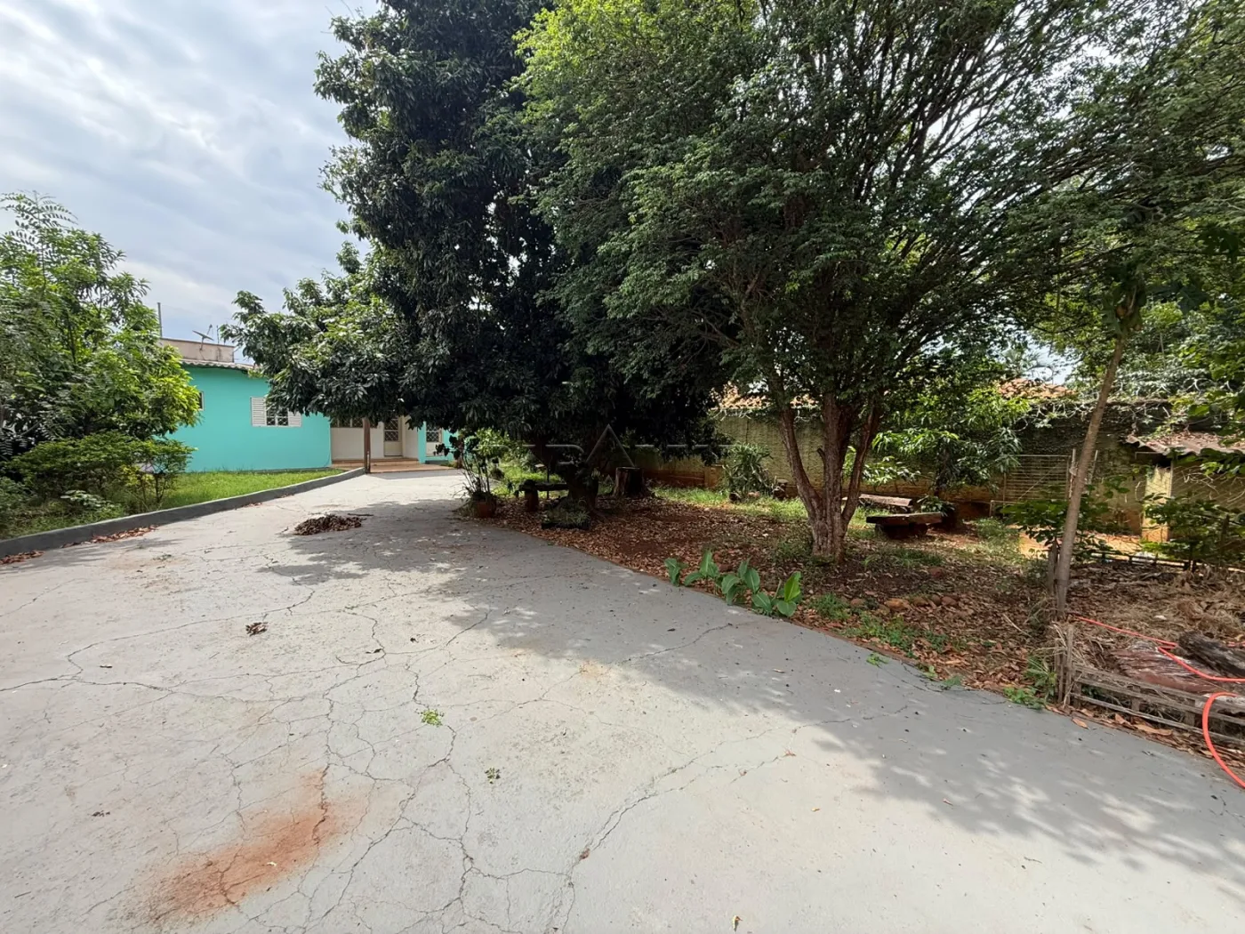 Comprar Casa / Padr&atilde;o em Ribeir&atilde;o Preto R$ 480.000,00 - Foto 4