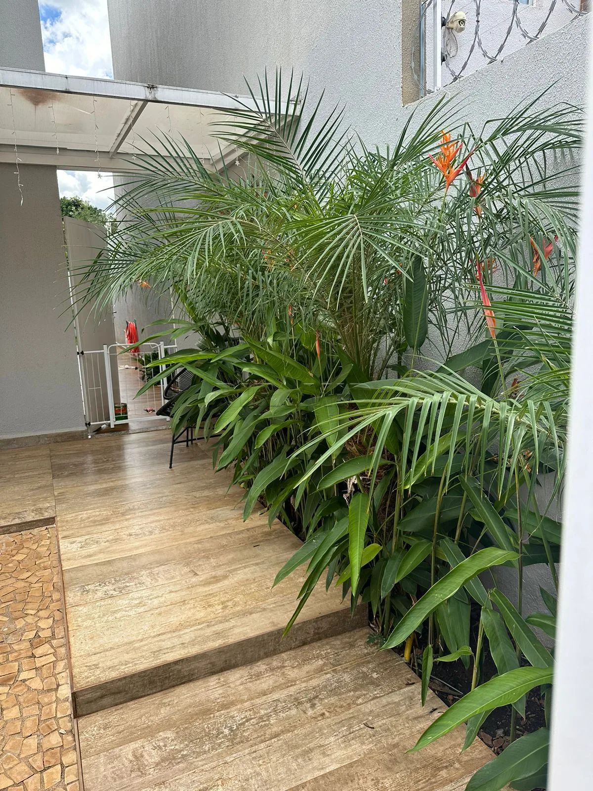 Comprar Casa / Padr&atilde;o em Ribeir&atilde;o Preto R$ 650.000,00 - Foto 14