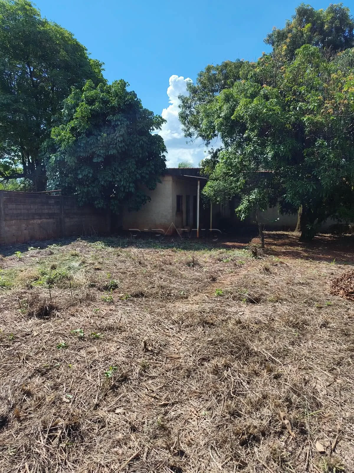 Alugar Casa / Condom&iacute;nio em Ribeir&atilde;o Preto R$ 1.600,00 - Foto 14