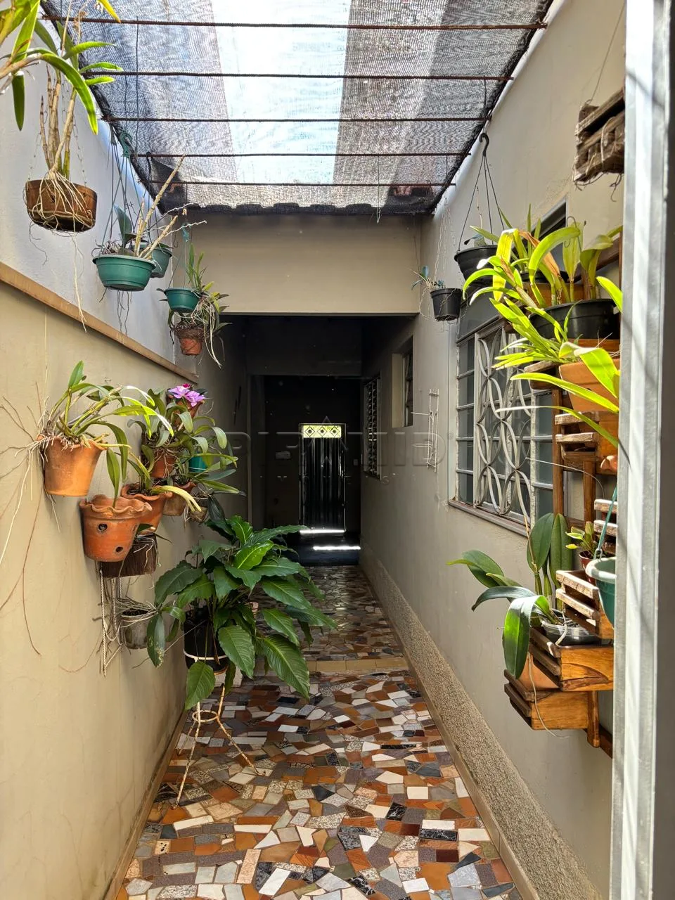 Comprar Casa / Padr&atilde;o em Ribeir&atilde;o Preto R$ 435.000,00 - Foto 13