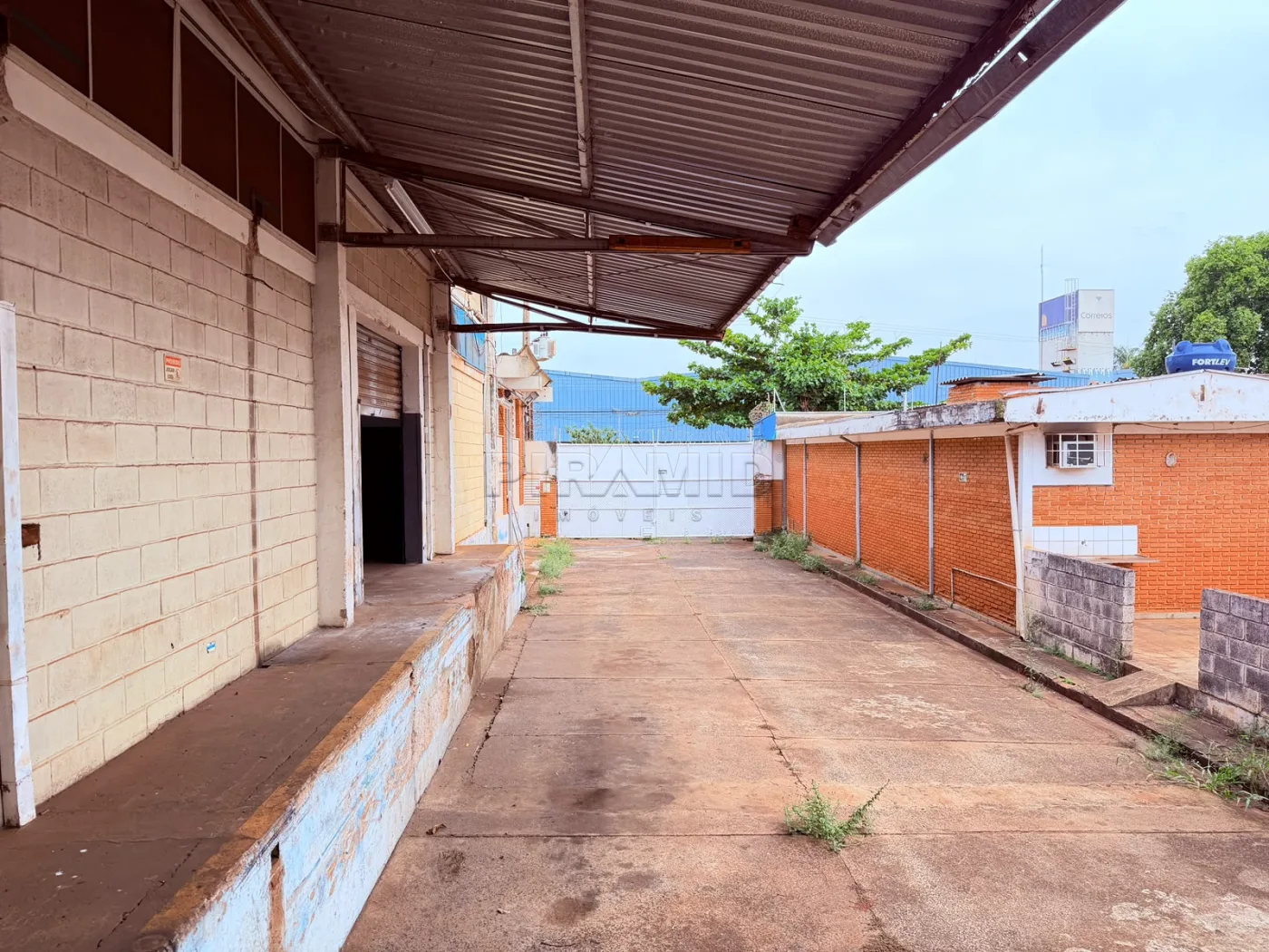 Alugar Comercial / Galp&atilde;o  Barrac&atilde;o em Ribeir&atilde;o Preto R$ 30.000,00 - Foto 15