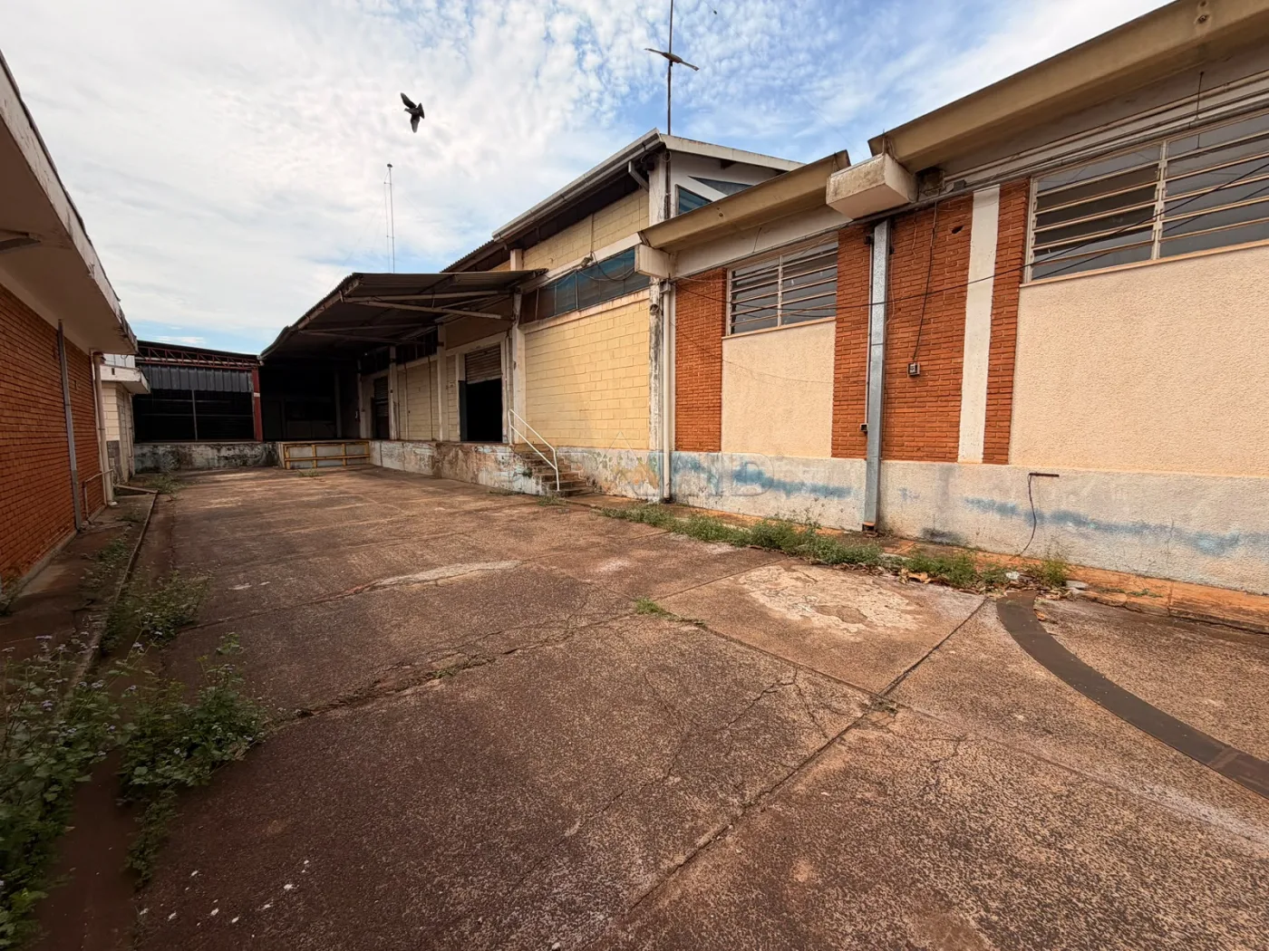 Alugar Comercial / Galp&atilde;o  Barrac&atilde;o em Ribeir&atilde;o Preto R$ 30.000,00 - Foto 18