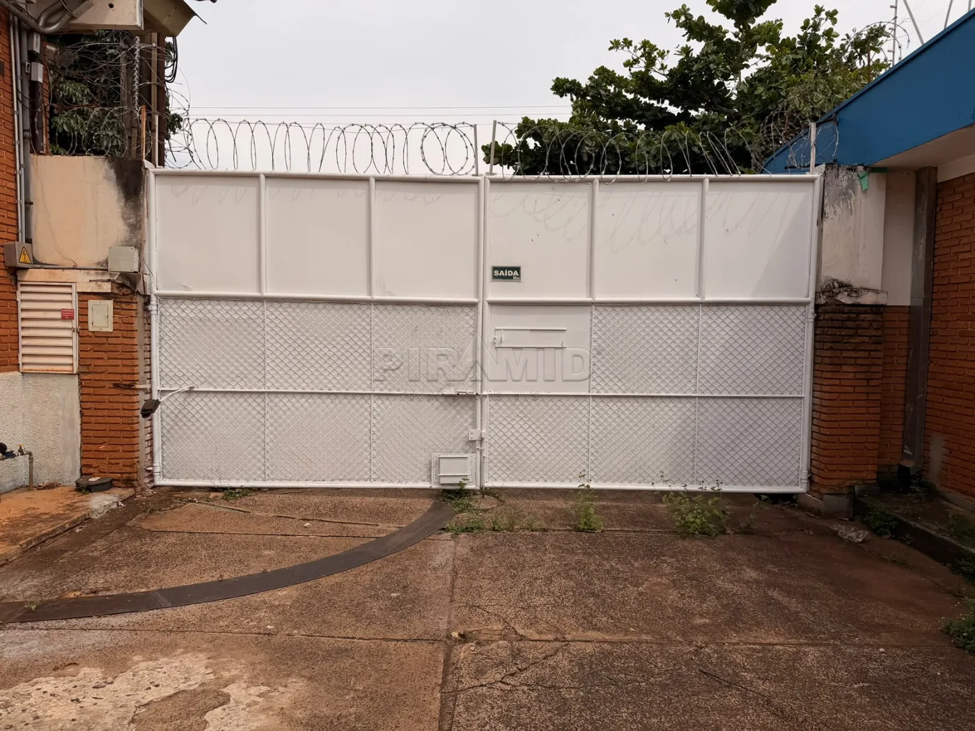 Alugar Comercial / Galp&atilde;o  Barrac&atilde;o em Ribeir&atilde;o Preto R$ 30.000,00 - Foto 19