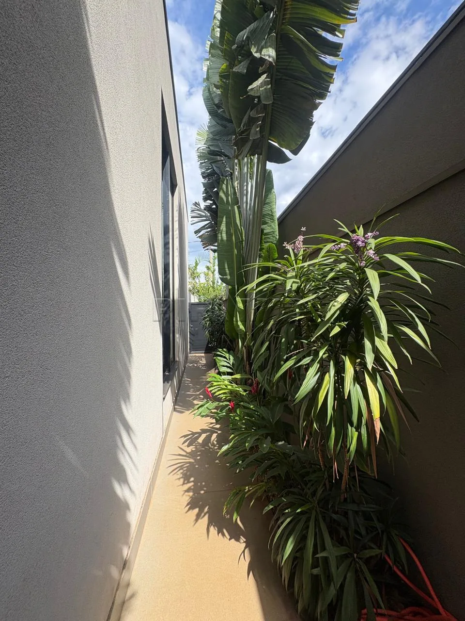 Comprar Casa / Condom&iacute;nio em Ribeir&atilde;o Preto R$ 1.450.000,00 - Foto 6