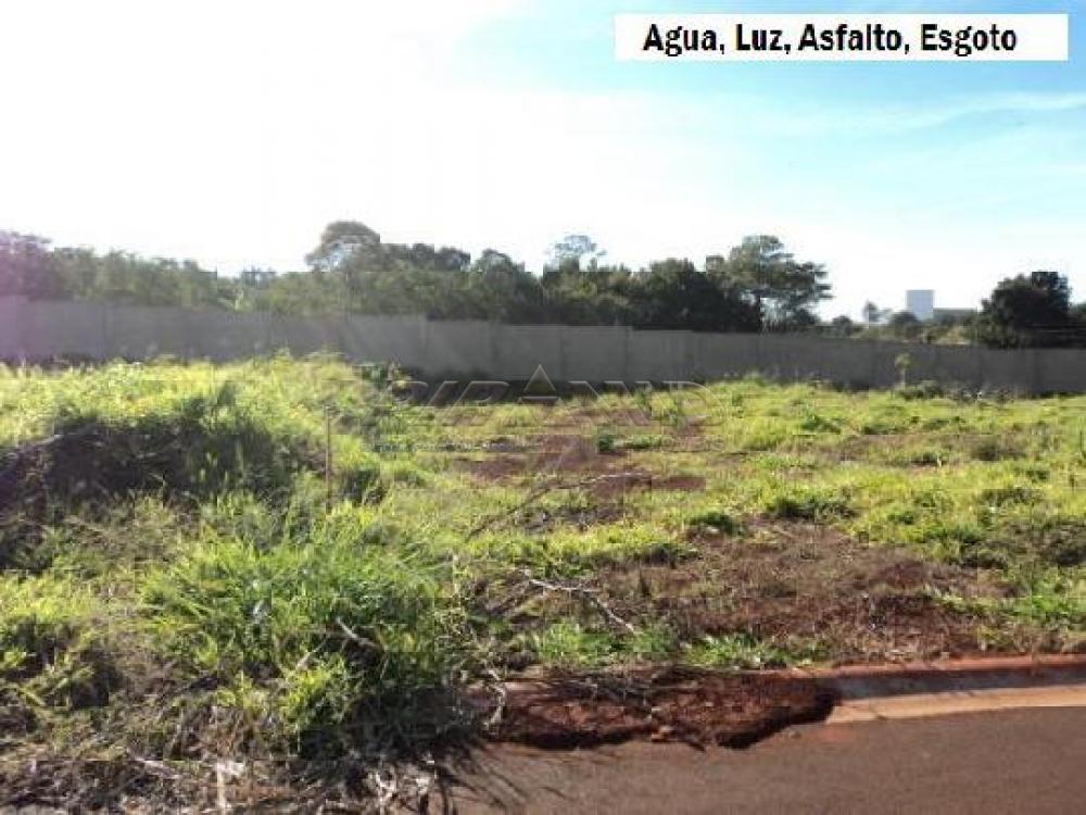 Comprar Terreno / Condom&iacute;nio em Bonfim Paulista R$ 320.000,00 - Foto 2