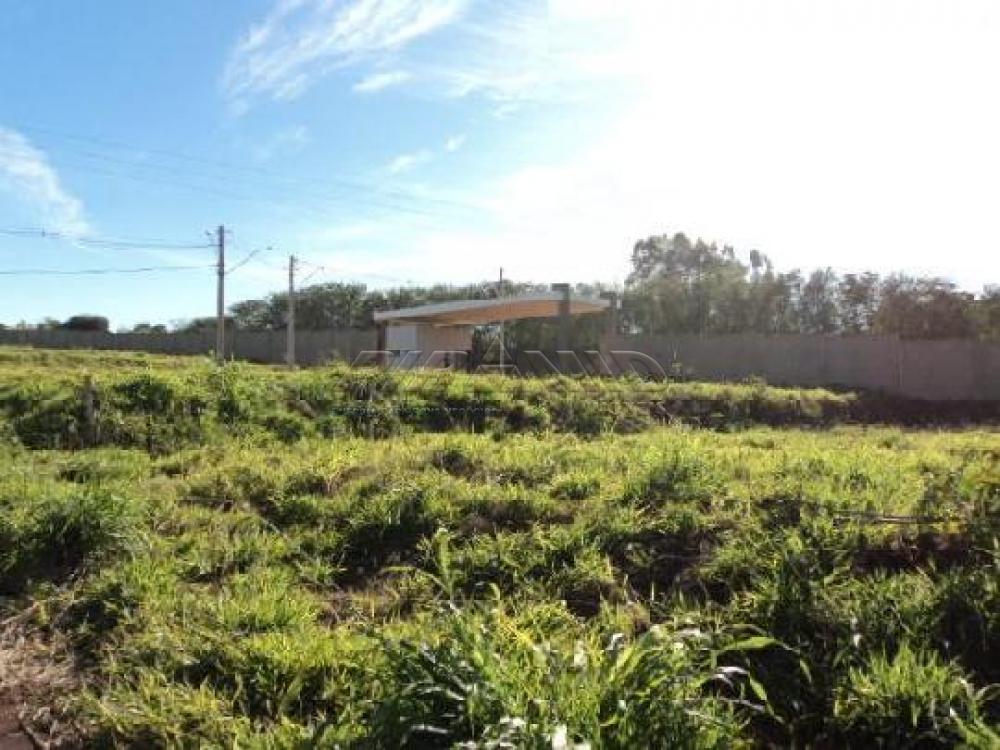 Comprar Terreno / Condom&iacute;nio em Bonfim Paulista R$ 320.000,00 - Foto 5