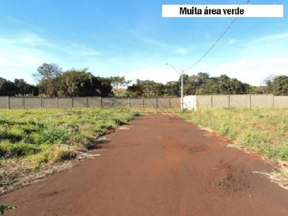 Comprar Terreno / Condom&iacute;nio em Bonfim Paulista R$ 320.000,00 - Foto 7