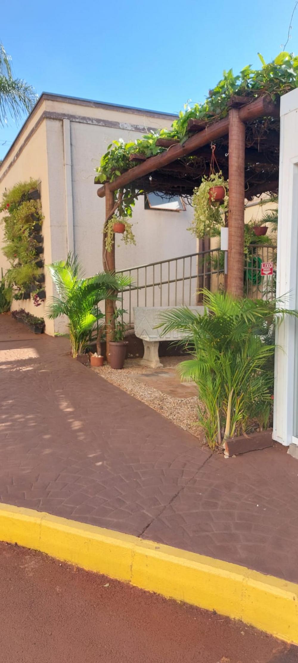 Comprar Apartamento / Padr&atilde;o em Ribeir&atilde;o Preto R$ 220.000,00 - Foto 21