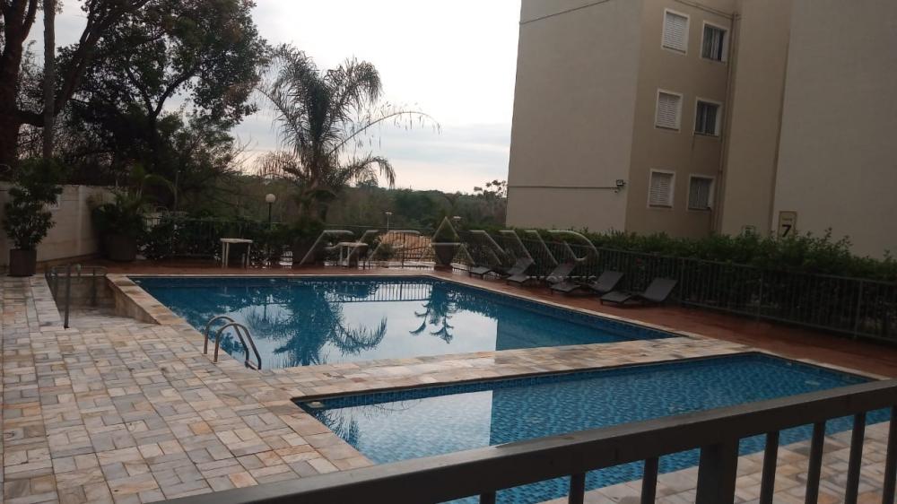 Alugar Apartamento / Padr&atilde;o em Ribeir&atilde;o Preto R$ 550,00 - Foto 16