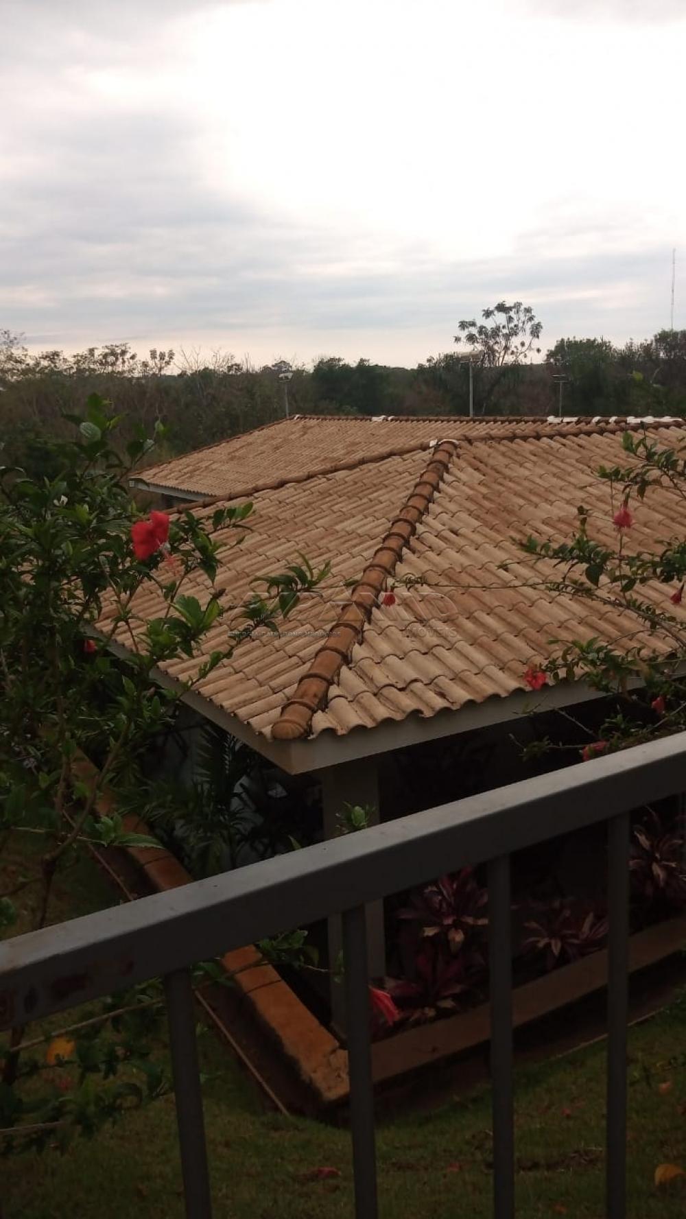 Alugar Apartamento / Padr&atilde;o em Ribeir&atilde;o Preto R$ 550,00 - Foto 19