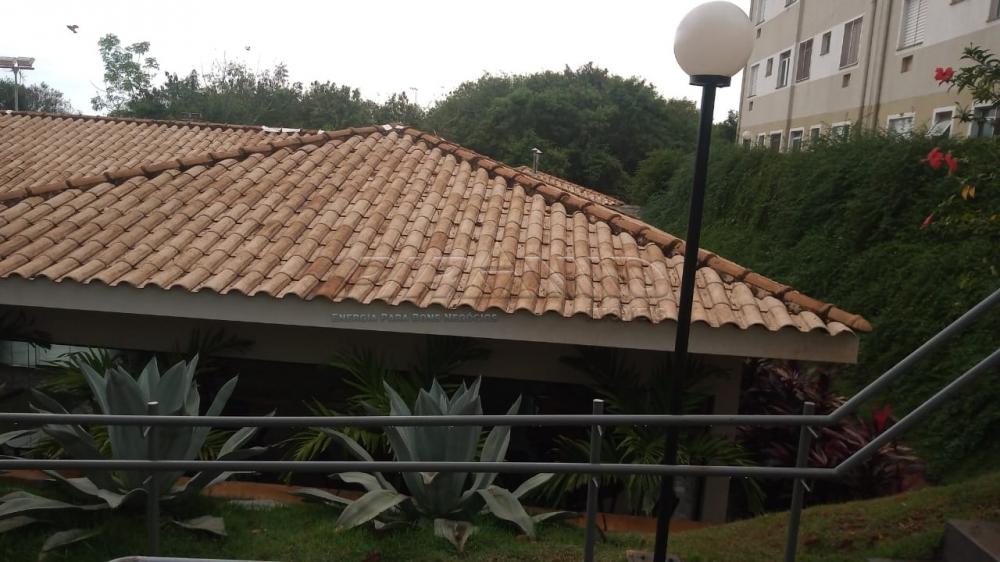 Alugar Apartamento / Padr&atilde;o em Ribeir&atilde;o Preto R$ 550,00 - Foto 20