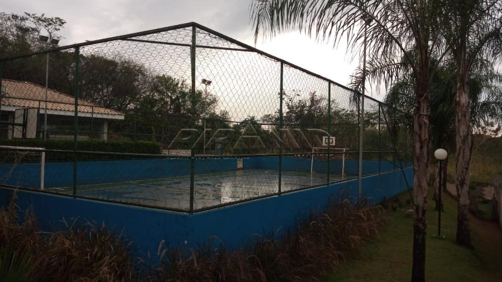 Alugar Apartamento / Padr&atilde;o em Ribeir&atilde;o Preto R$ 550,00 - Foto 35