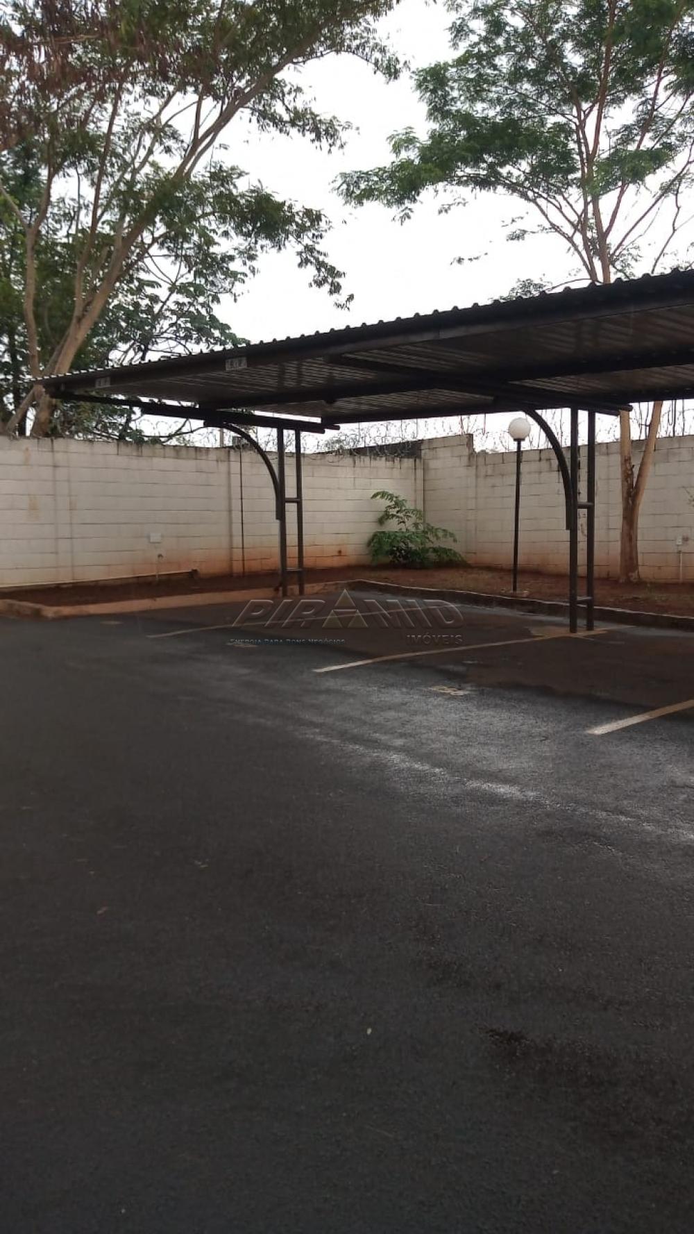 Alugar Apartamento / Padr&atilde;o em Ribeir&atilde;o Preto R$ 550,00 - Foto 42