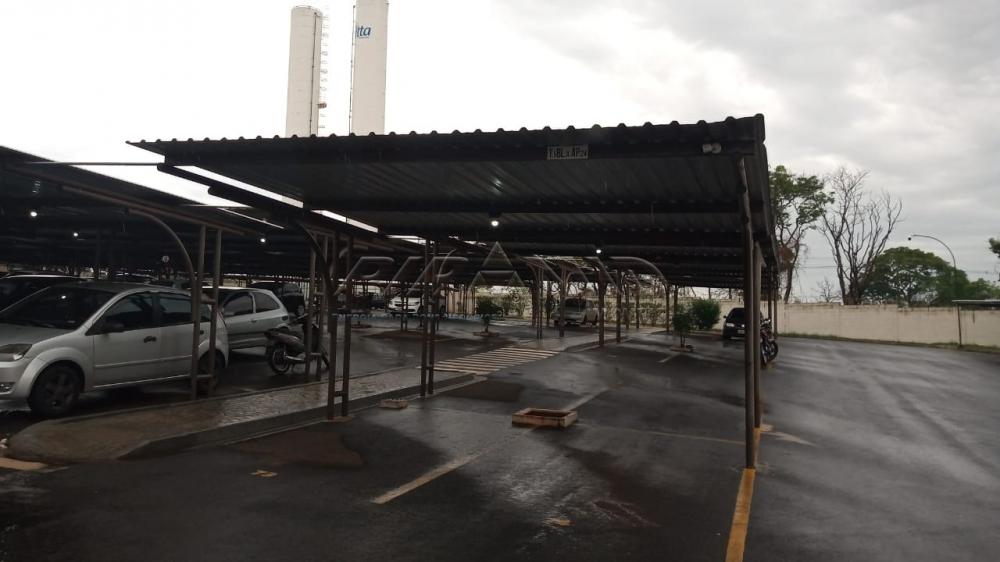 Alugar Apartamento / Padr&atilde;o em Ribeir&atilde;o Preto R$ 550,00 - Foto 43
