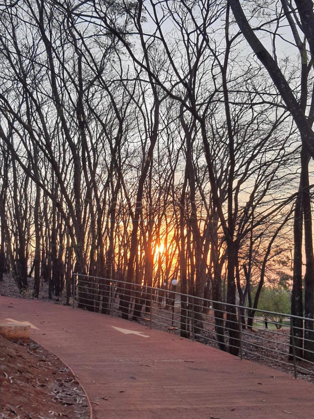 Alugar Casa / Condom&iacute;nio em Ribeir&atilde;o Preto R$ 3.990,00 - Foto 24