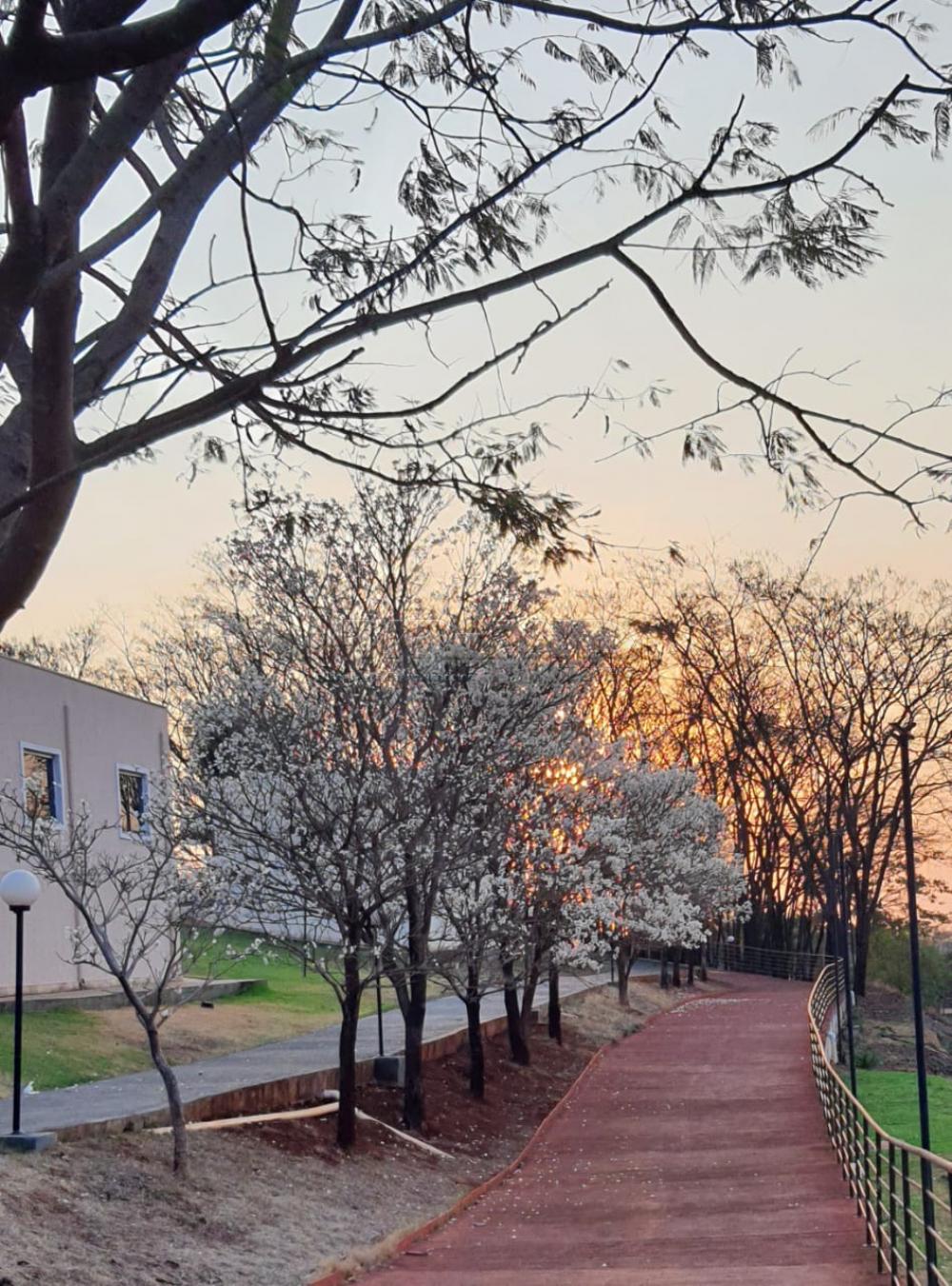 Alugar Casa / Condom&iacute;nio em Ribeir&atilde;o Preto R$ 3.990,00 - Foto 26