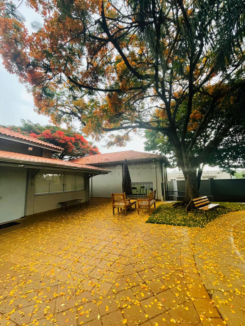 Comprar Casa / Condom&iacute;nio em Bonfim Paulista (Ribeir&atilde;o Preto) R$ 1.550.000,00 - Foto 47